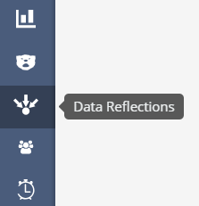 Data Reflection