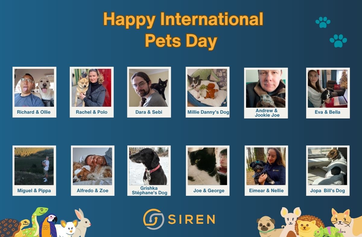 International Pet day