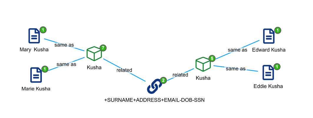 An Introduction to Siren Entity Resolution